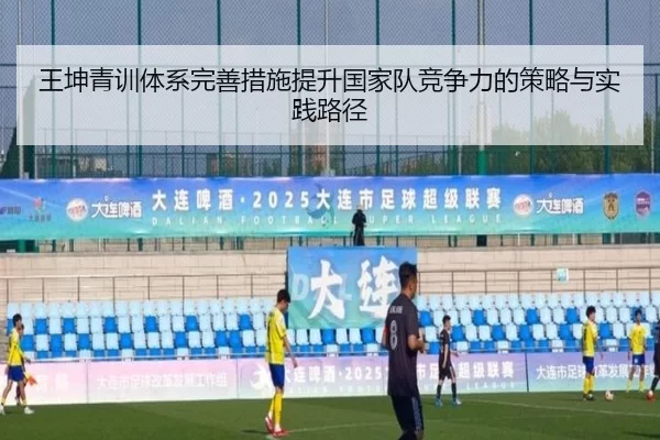 王坤青训体系完善措施提升国家队竞争力的策略与实践路径